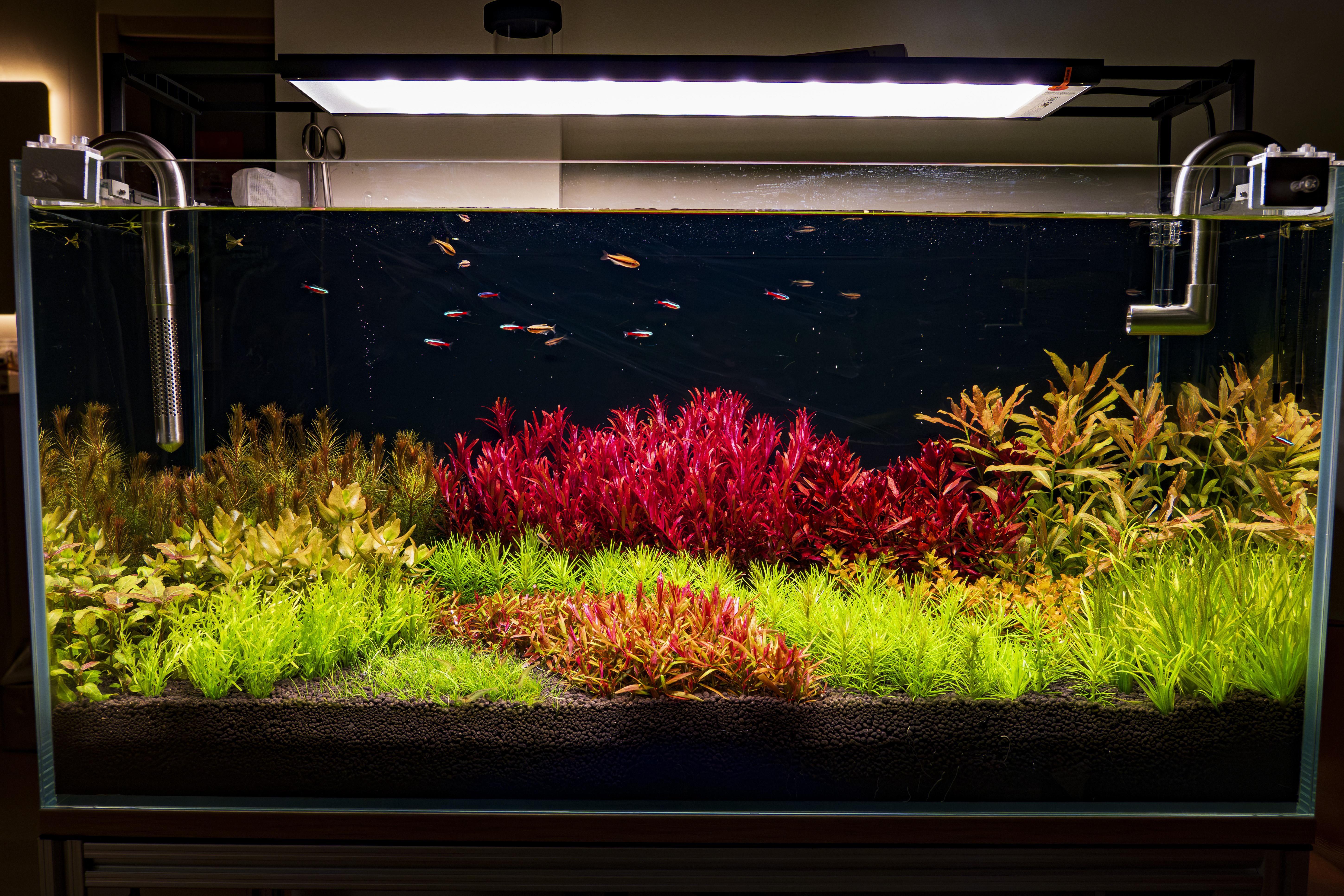67b0534e44cc5.jpg