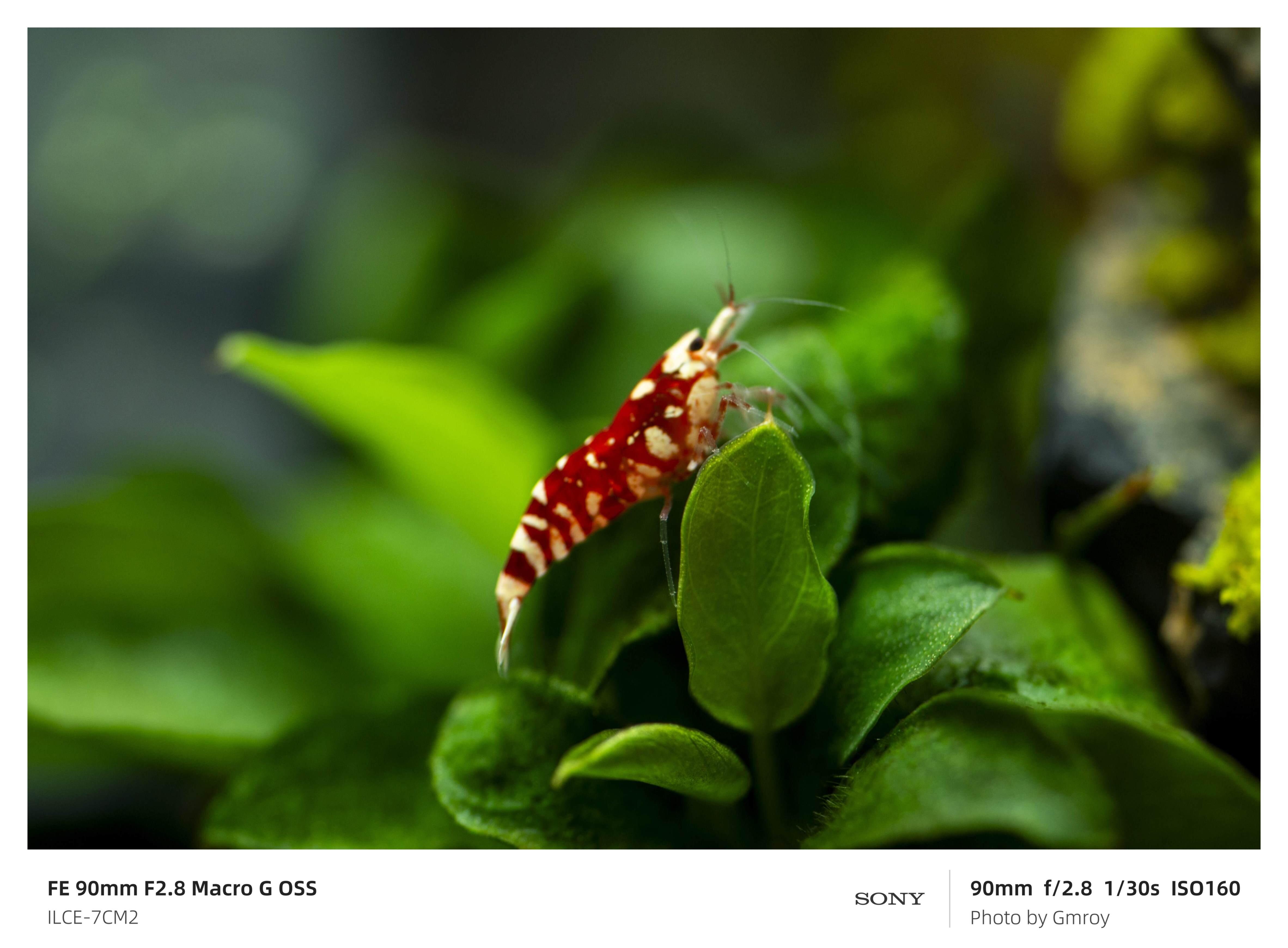 683be8792fb64.jpg